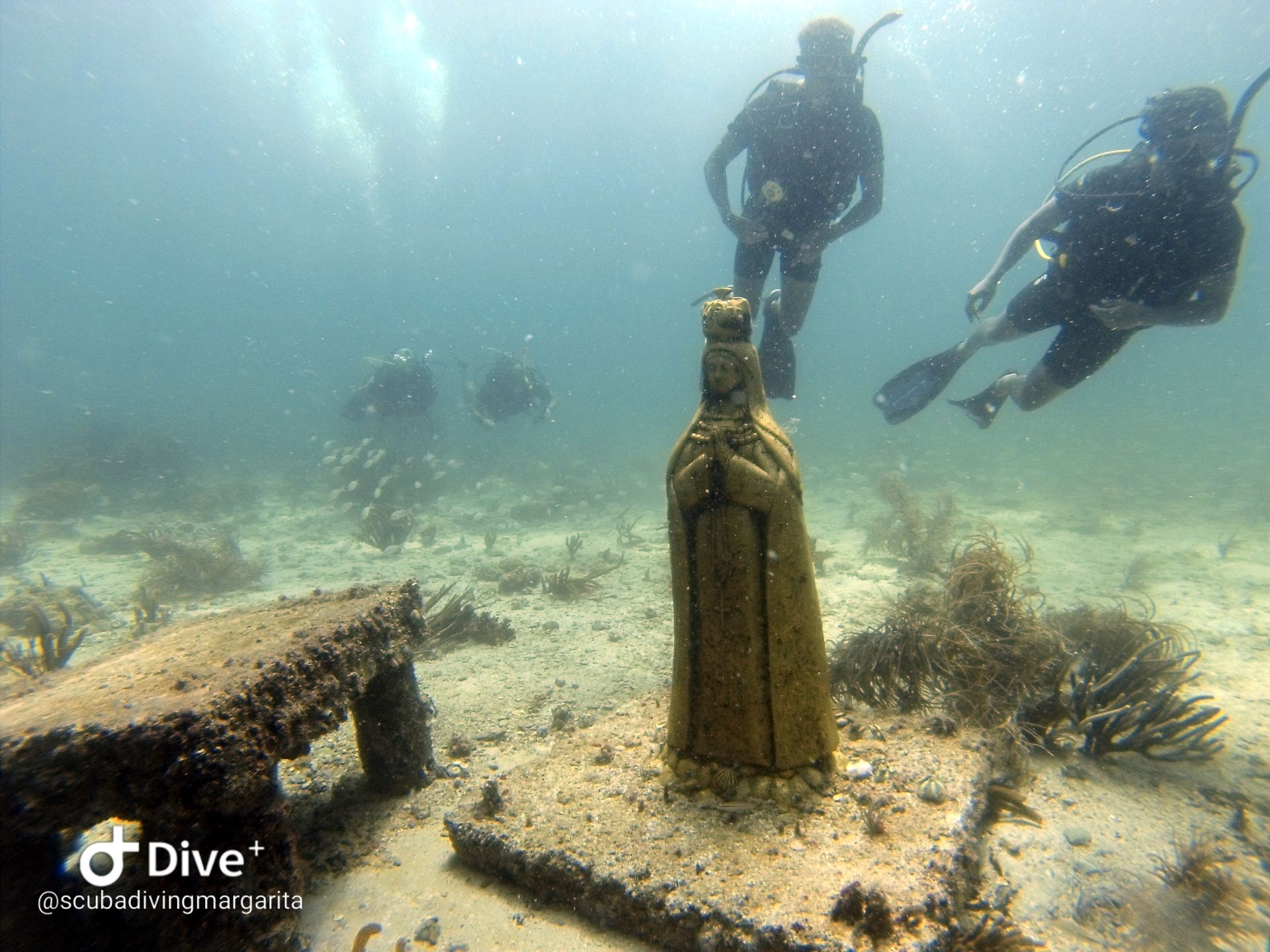 Fotos del Buceo por la Isla Margarita